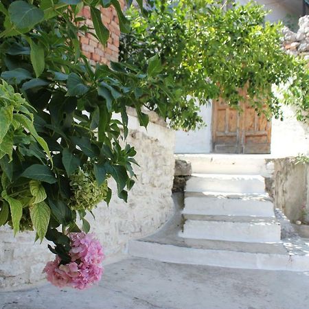 Guest House Toli Inside Berat Castle מראה חיצוני תמונה